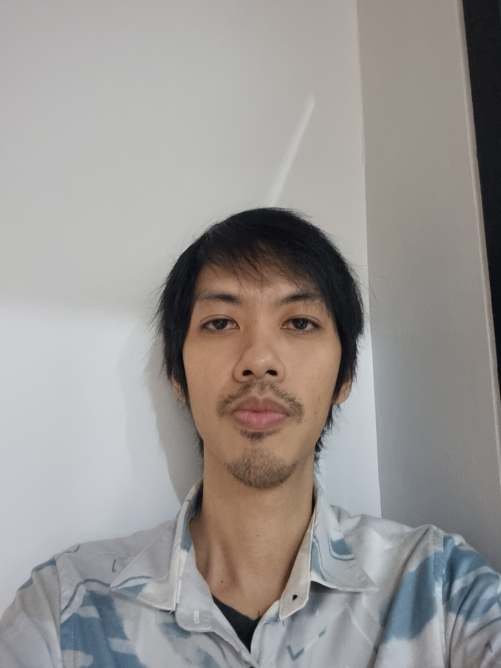 Ronny Wibowo Salim