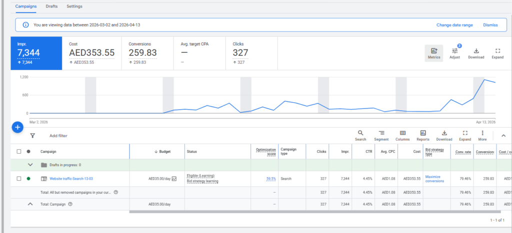 Je vais lancer Google Ads pour votre entreprise - portfolio - 1