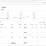 Je vais lancer Google Ads pour votre entreprise - À distance