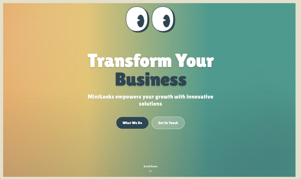 MintLooks LLC - portfolio - 0