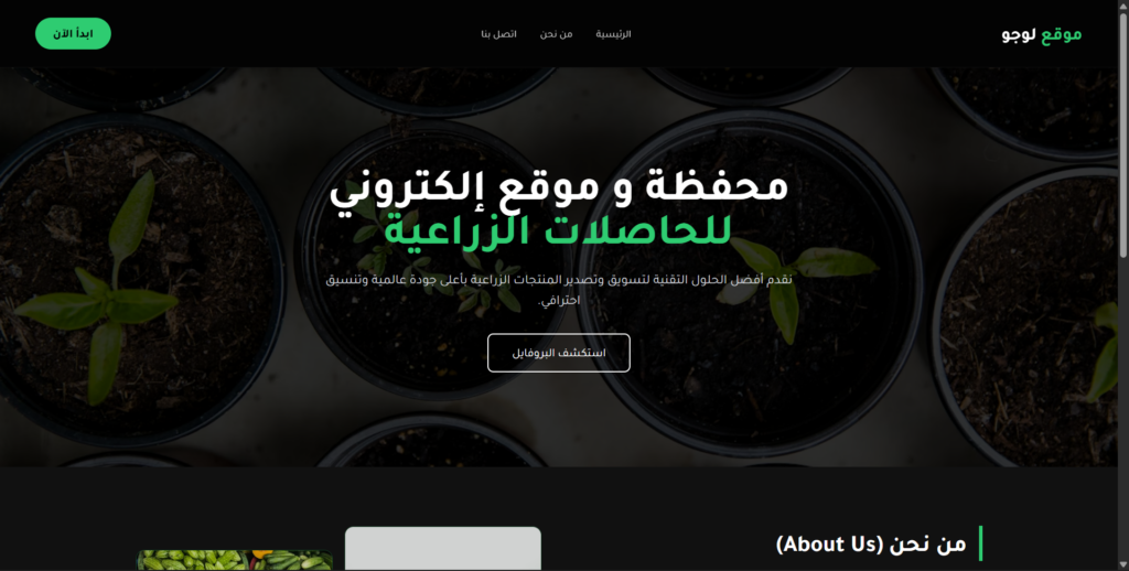 سأقوم ب انشاء موقعك الويب خلال ايام - portfolio - 1