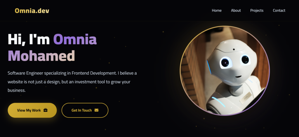 👤 Software Engineer Professional Portfolio - portfolio - 0