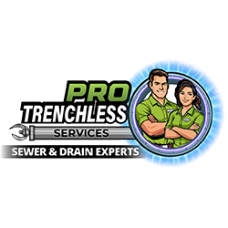 Pro Services