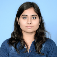 Digital Marketing, SEO, Social Media Marketing, Wordpress Development, Google Adwords, Meta Ads - portfolio - 0
