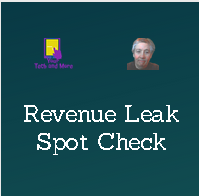 Revenue Leak Spot Check - portfolio - 0