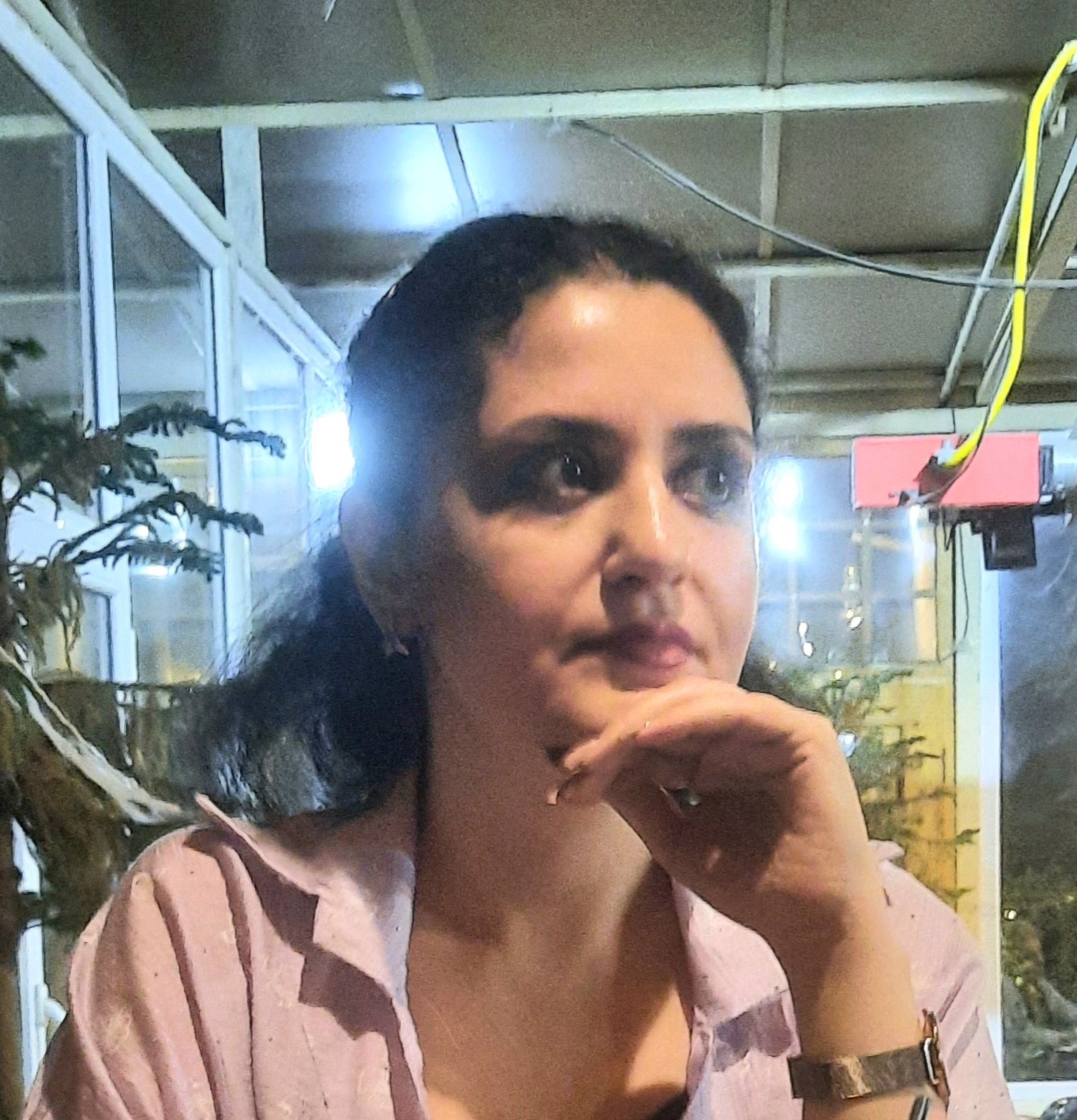 Sepideh Masoudi
