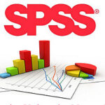 Professional statistical analysis using SPSS software for all university research and dissertations