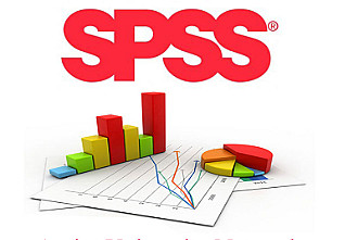 Analyse statistique professionnelle utilisant le logiciel SPSS pour toutes les recherches universitaires et thèses - portfolio - 0