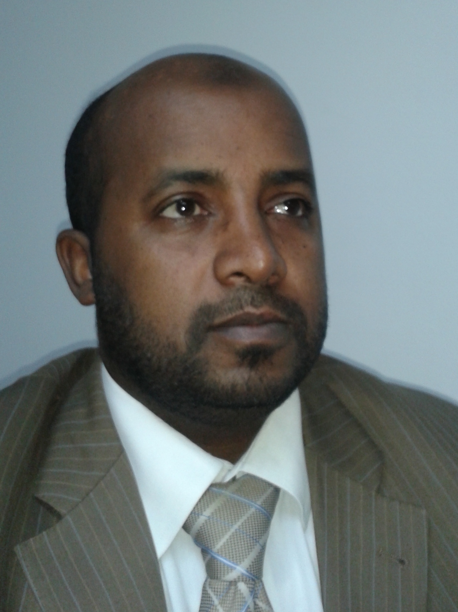 Ayman Taha Mohamed Hassan