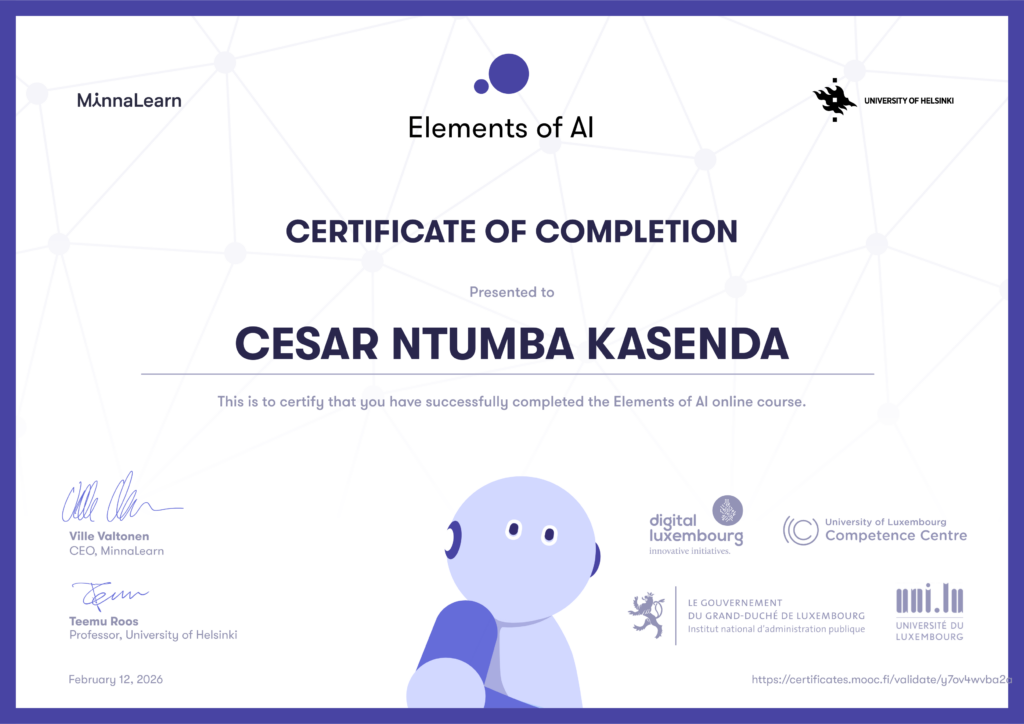 cesar Ntumba Kasenda - portfolio - 2
