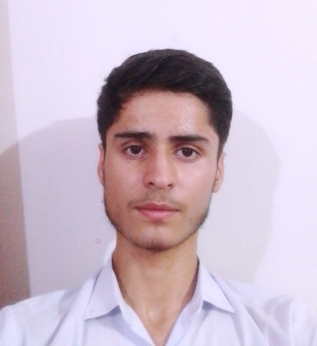sibtain bukhari