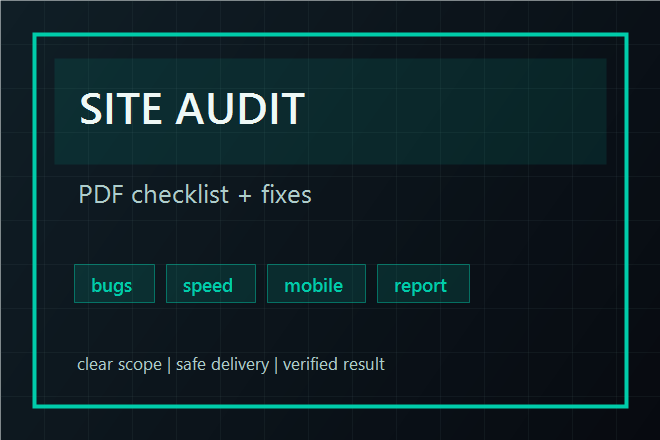 I will audit your website and send a clear PDF checklist - portfolio - 0