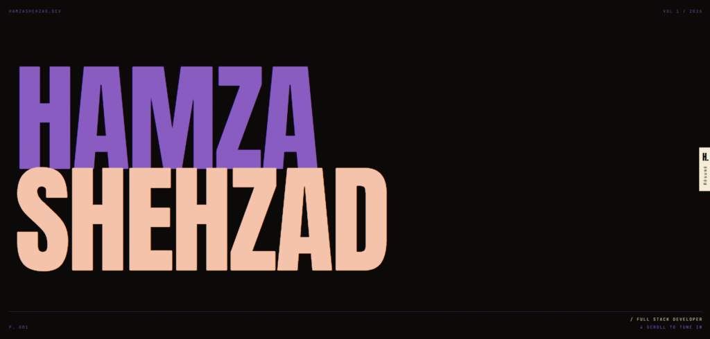 Hamza Shehzad - الغلاف
