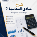 Explain Accounting Principles 2 in a Professional Way
