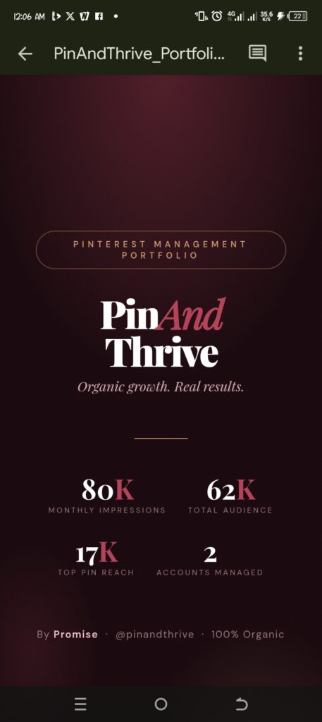 سأدير حسابك على Pinterest للنمو العضوي، واستراتيجية الكلمات المفتاحية، والتثبيت المستمر - portfolio - 1