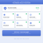 Monthly Website Care & Maintenance