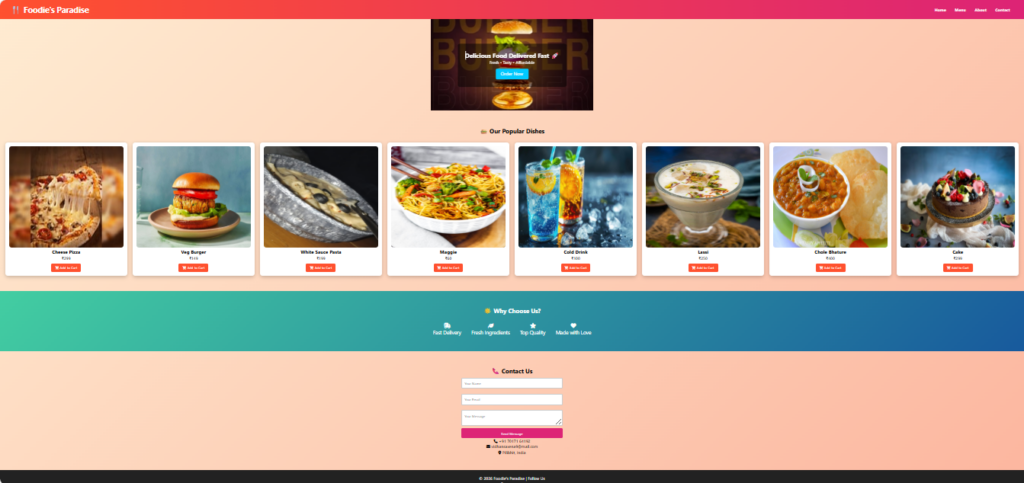 Vidhan Saxena - portfolio - 0