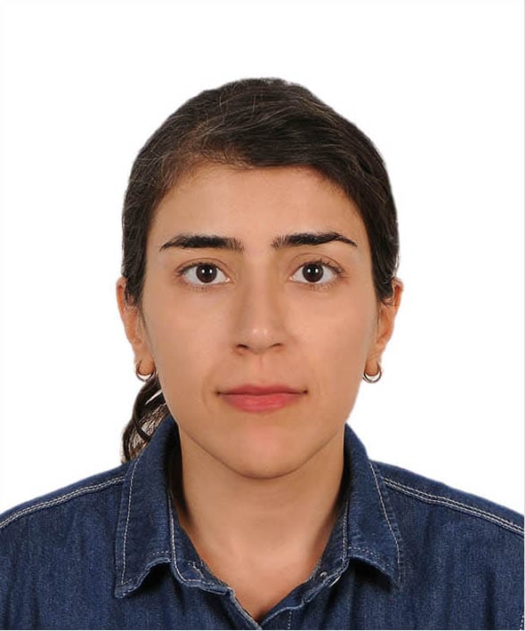 Fatemeh Mohammadi Behbahani
