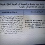 Professional translation and interlingual proofreading (Chinese, German, English, Arabic)