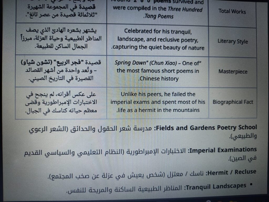 Aya Ali Khalil - portfolio - 2