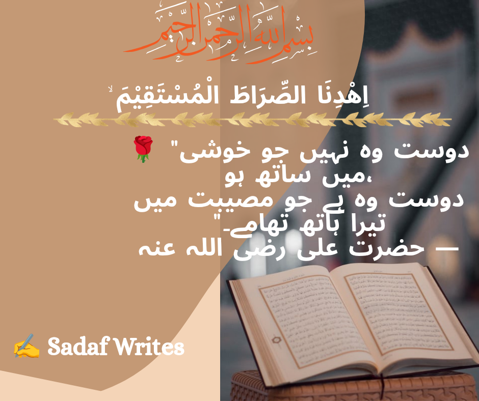 Sadaf Mujtaba - portfolio - 2