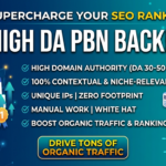 I will provide 200 high DA PBN backlinks for Google top ranking - Remote