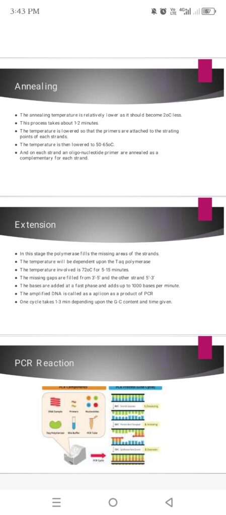 I will write a professional writing work for you - portfolio - 2