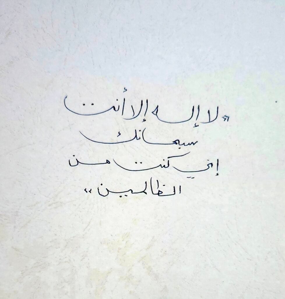 Sara Sarahassan - portfolio - 2