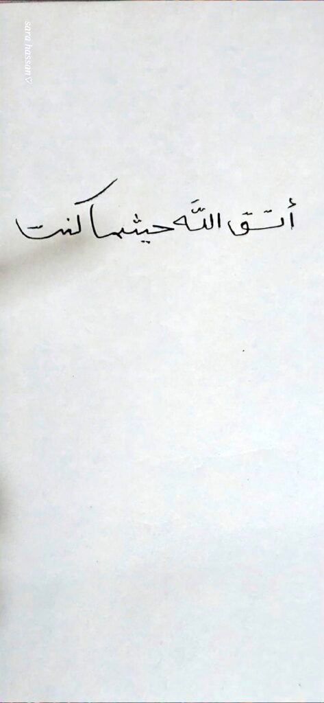 Sara Sarahassan - portfolio - 0