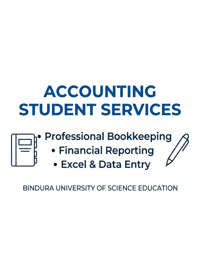 Je m’occuperai de la tenue de livres et du reporting financier de votre petite entreprise en Excel - portfolio - 0