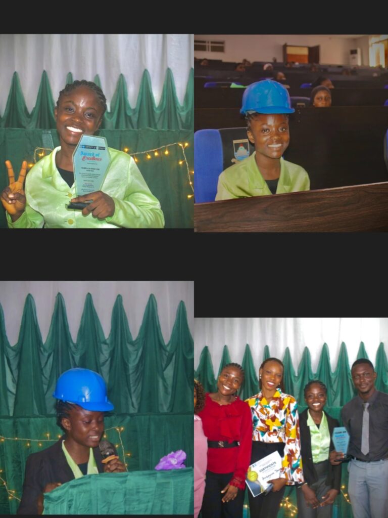 Oluwanifemi Bello - portfolio - 0