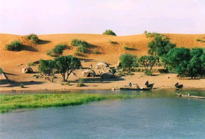 Daoulata Amadou Haidara - cover