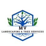 MV LANDSCAPING - أوستن, الولايات المتحدة