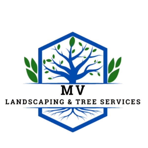 MV LANDSCAPING