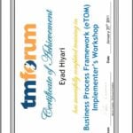 Consultant L2 en Cadres de Processus Métier