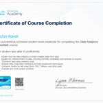 Data Analytics Essentials