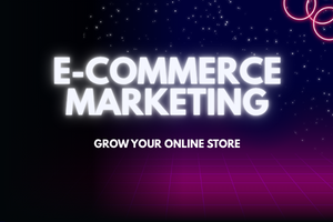 I will grow your Shopify or WooCommerce store with digital marketing - portfolio - 0