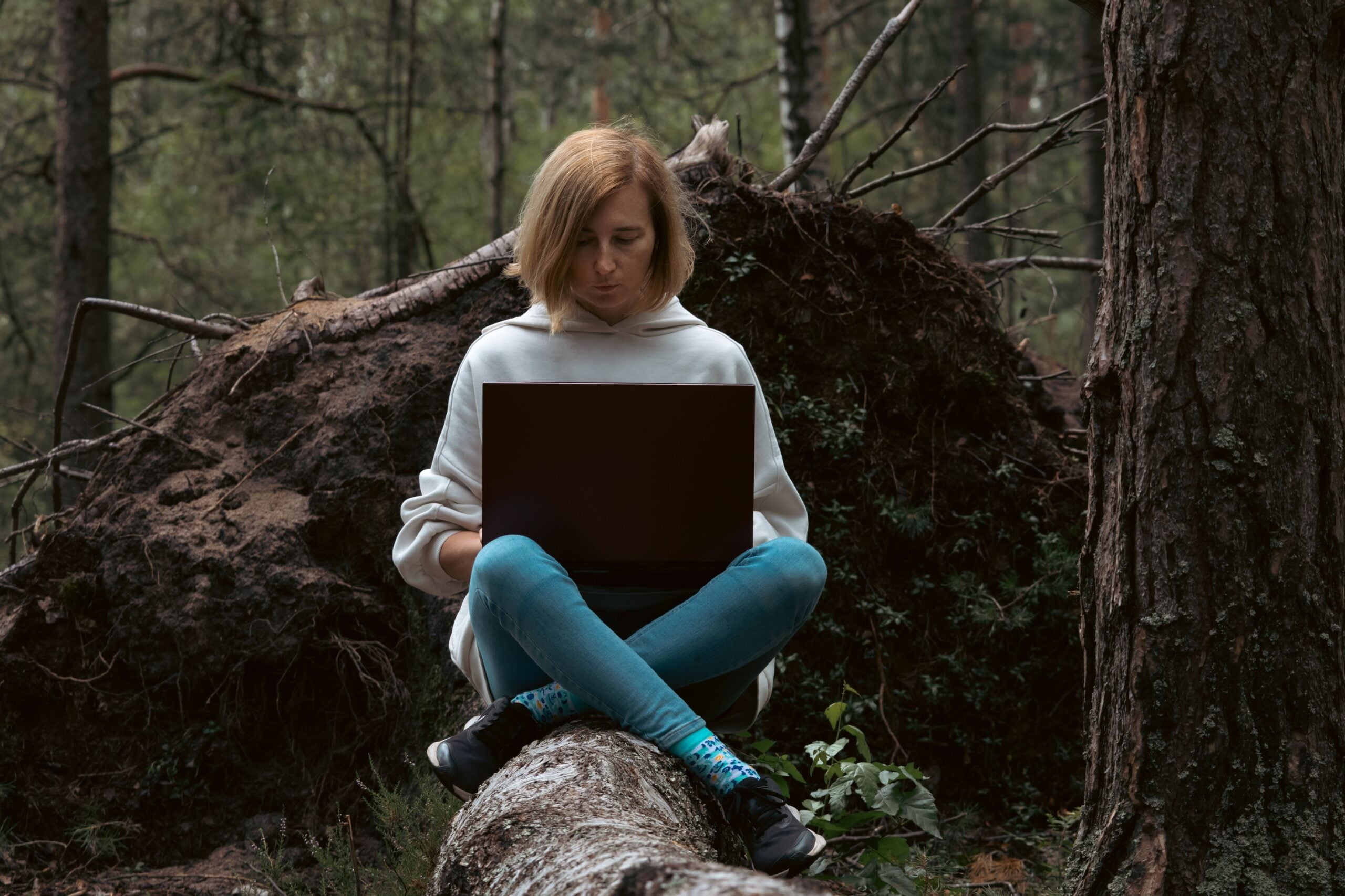 Freelance Ai Trainer And Data Labeler The Complete Guide To Earning From Machine Learning Projects