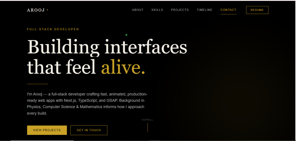 Arooj Kainat - portfolio - 1