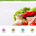 Professional E-Commerce Website Development