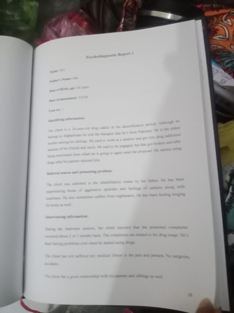 Kinza Hashmi - portfolio - 0