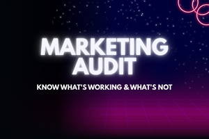 Je réaliserai un audit complet du marketing digital pour votre entreprise - portfolio - 0
