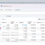 Meta Ads campaign management (Facebook & Instagram) - Remote
