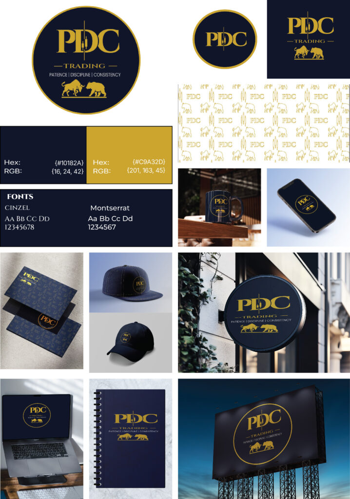 I will design your brand kit and full visual identity - portfolio - 0