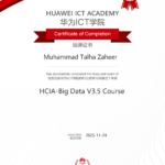 Huawei Big Data Certified
