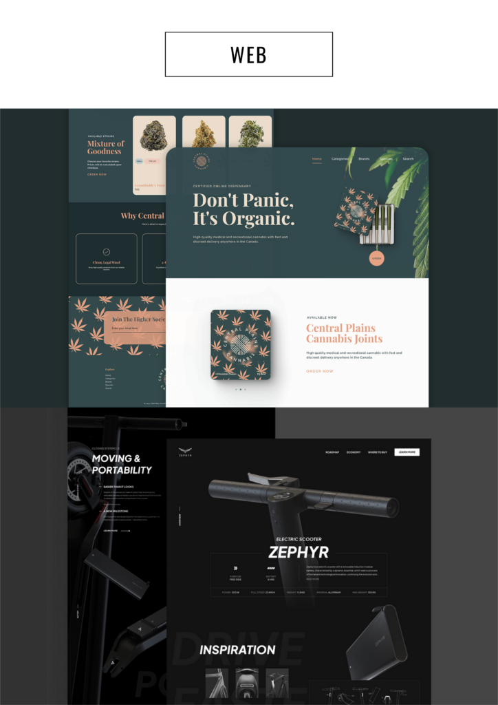 Sheraz Munir - portfolio - 1