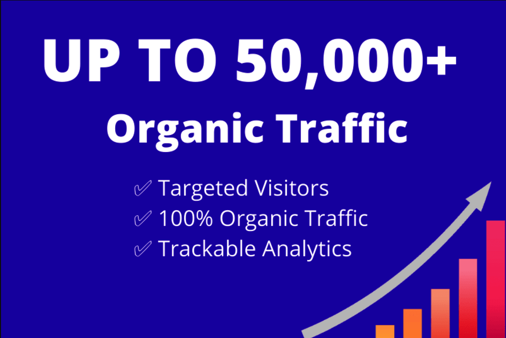 Vous obtiendrez 50 000+ trafic web ciblé pour booster votre site - portfolio - 0