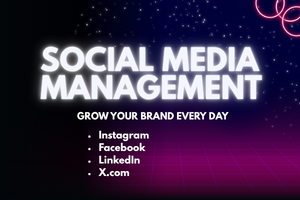 I will professionally manage your social media accounts - portfolio - 0