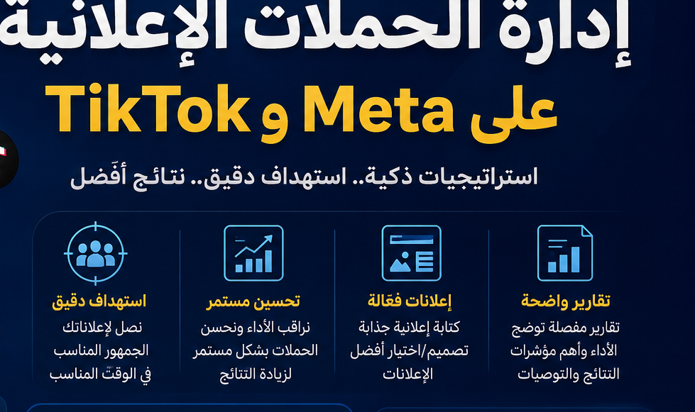 Advertising Campaign Management - portfolio - 0