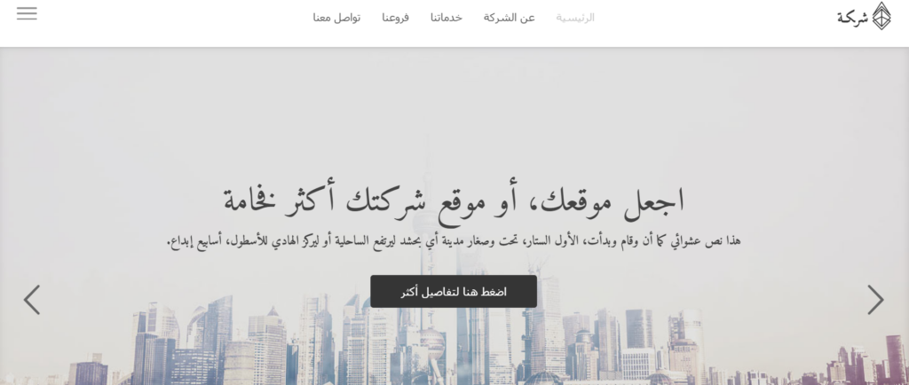 تصميم مواقع الويب - portfolio - 2